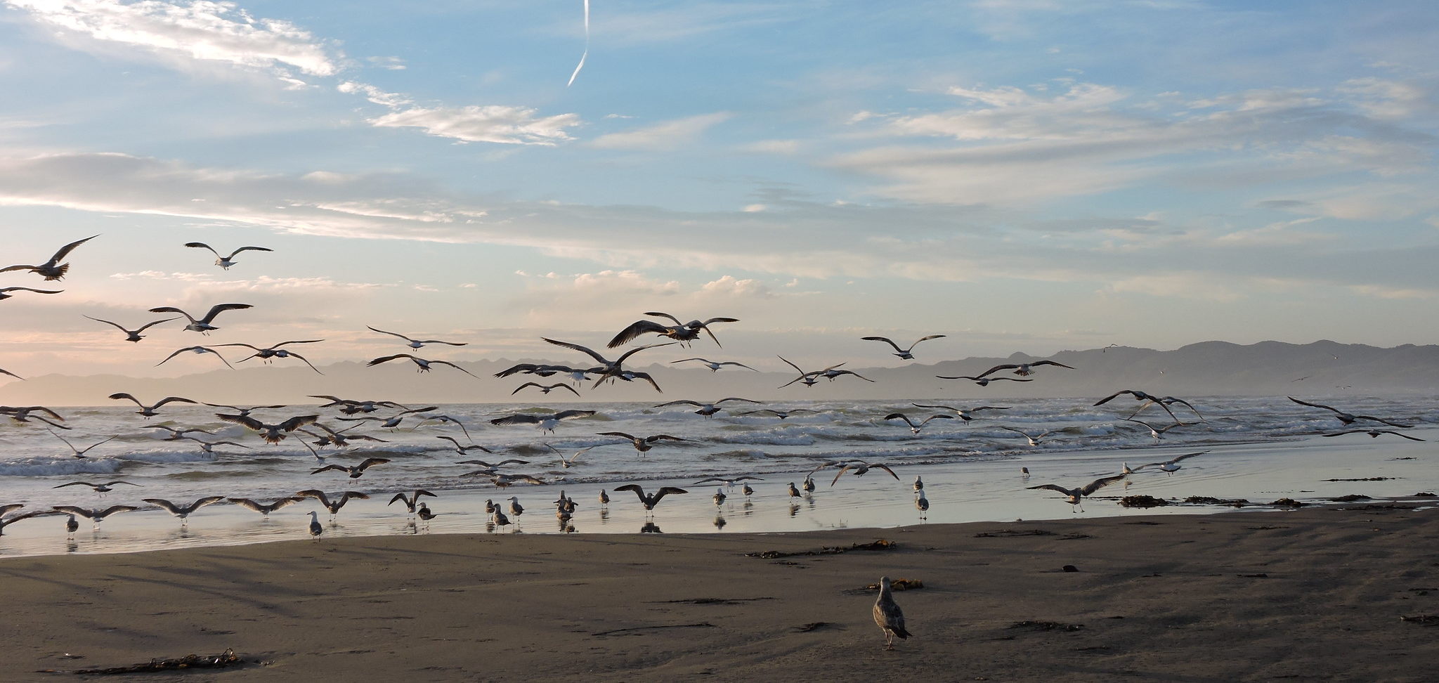 45794313315_0a87f53ad9_k