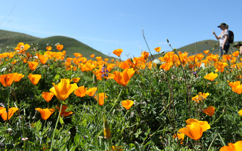 16736000292_a7d56272c0_o 16736000292_a7d56272c0_o